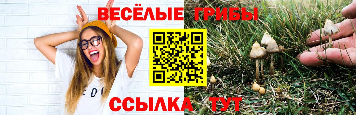 Чусовой  дарнет шоп  Вход с VPN  Галлюциногенные грибы мицелий 